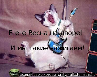 Е-е-е Весна на дворе! И мы такие зажигаем!... Котоматрица: Е-е-е Весна на дворе! И мы такие зажигаем!