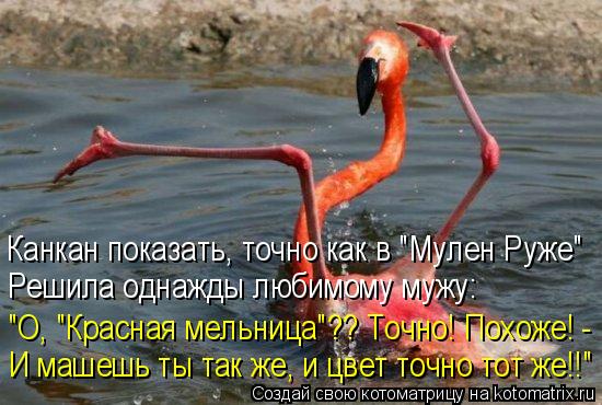 Канкан показать, точно как в "Мулен Руже" Решила однажды любимому мужу: "О, "Красная мельница"?? Точн... Котоматрица: Канкан показать, точно как в "Мулен Руже" Решила однажды любимому мужу: "О, "Красная мельница"?? Точно! Похоже! - И машешь ты так же, и цвет точно