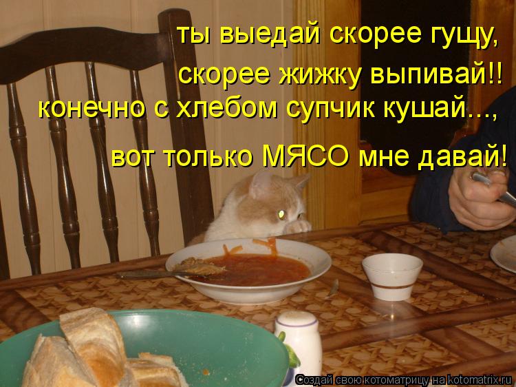 ты выедай скорее гущу, скорее жижку выпивай!! вот только МЯСО мне давай! конечно с хлебом супчик куша... Котоматрица: ты выедай скорее гущу, скорее жижку выпивай!! вот только МЯСО мне давай! конечно с хлебом супчик кушай...,