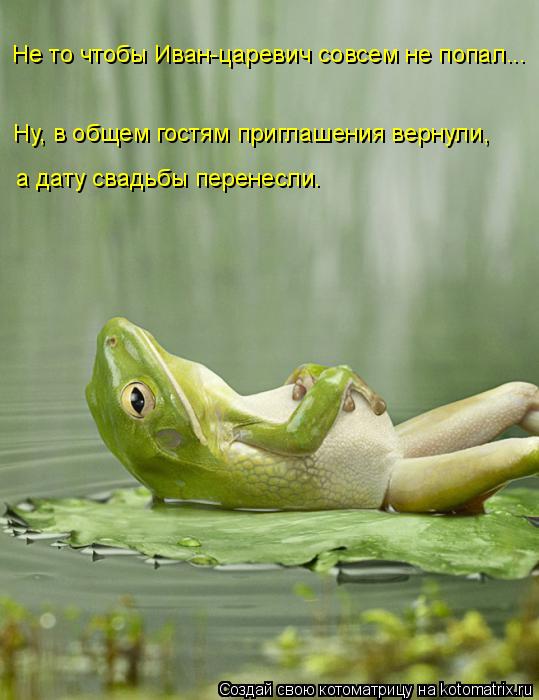 Не то чтобы Иван-царевич совсем не попал... Ну, в общем гостям приглашения вернули, а дату свадьбы п... Котоматрица: Не то чтобы Иван-царевич совсем не попал... Ну, в общем гостям приглашения вернули, а дату свадьбы перенесли.
