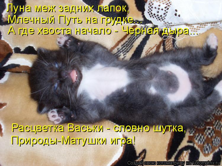 Луна меж задних лапок, Млечный Путь на грудке... А где хвоста начало - Черная дыра... Расцветка Васьк... Котоматрица: Луна меж задних лапок, Млечный Путь на грудке... А где хвоста начало - Черная дыра... Расцветка Васьки - словно шутка, Природы-Матушки игра!