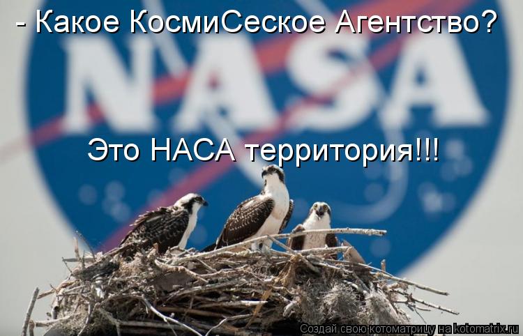 - Какое КосмиСеское Агентство? Это НАСА территория!!!... Котоматрица: - Какое КосмиСеское Агентство? Это НАСА территория!!!