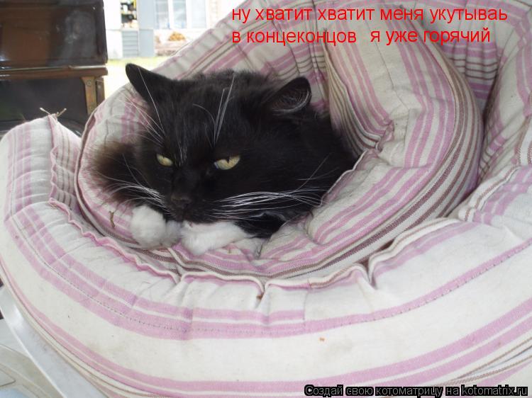 ну хватит хватит меня укутываь в концеконцов я уже горячий я уже горячий... Котоматрица: ну хватит хватит меня укутываь в концеконцов я уже горячий я уже горячий