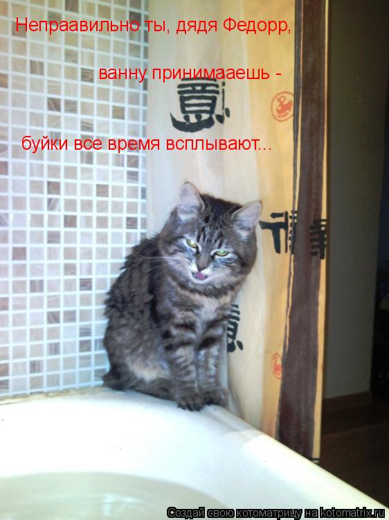 Непраавильно ты, дядя Федорр, ванну принимааешь - буйки все время всплывают...... Котоматрица: Непраавильно ты, дядя Федорр, ванну принимааешь - буйки все время всплывают...