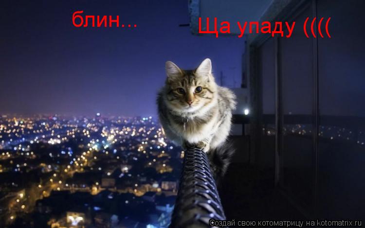 блин... Ща упаду ((((... Котоматрица: блин... Ща упаду ((((
