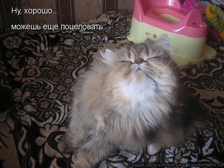Ну, хорошо... можешь еще поцеловать....... Котоматрица: Ну, хорошо... можешь еще поцеловать....