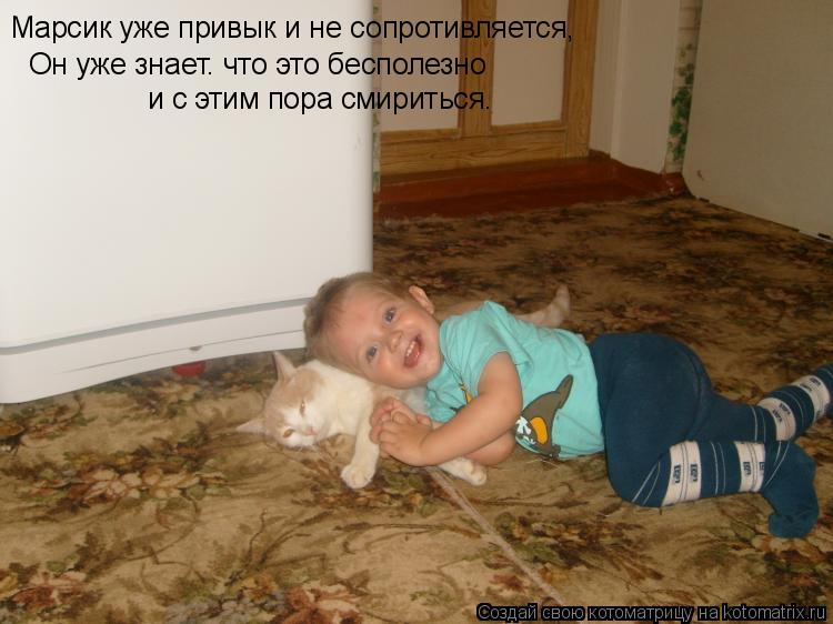 Марсик уже привык и не сопротивляется, Он уже знает. что это бесполезно и с этим пора смириться.... Котоматрица: Марсик уже привык и не сопротивляется, Он уже знает. что это бесполезно и с этим пора смириться.