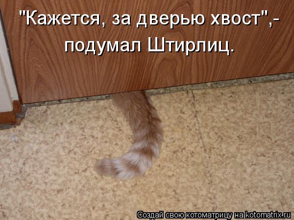 Котоматрица: "Кажется, за дверью хвост",- подумал Штирлиц.