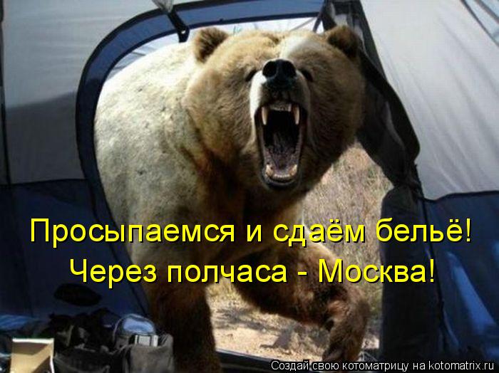 Просыпаемся и сдаём бельё! Через полчаса - Москва!... Котоматрица: Просыпаемся и сдаём бельё! Через полчаса - Москва!
