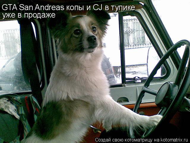 GTA San Andreas копы и CJ в тупике уже в продаже... Котоматрица: GTA San Andreas копы и CJ в тупике уже в продаже
