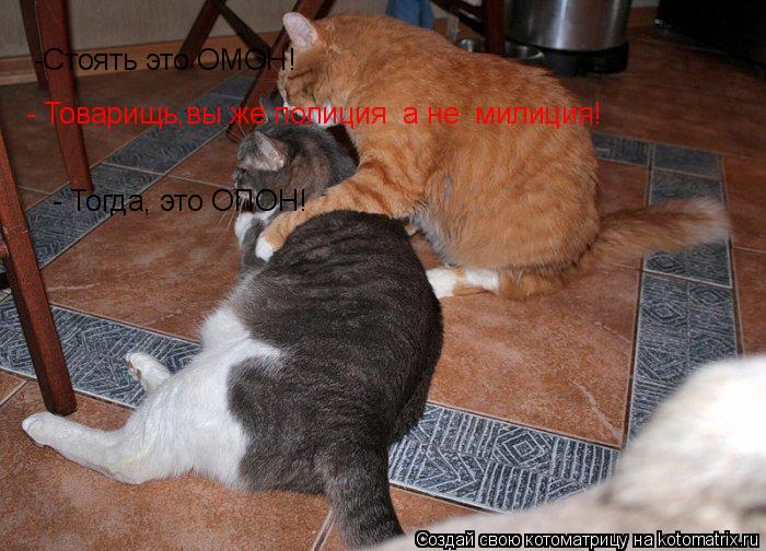 -Стоять это ОМОН! - Товарищь,вы же полиция а не милиция! - Тогда, это ОПОН!... Котоматрица: -Стоять это ОМОН! - Товарищь,вы же полиция а не милиция! - Тогда, это ОПОН!