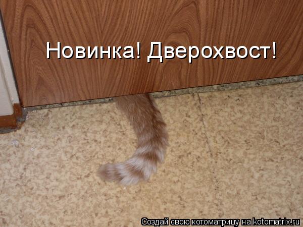 Новинка! Дверохвост!... Котоматрица: Новинка! Дверохвост!