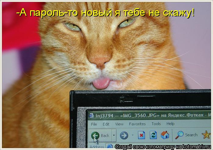 -А пароль-то новый я тебе не скажу!... Котоматрица: -А пароль-то новый я тебе не скажу!