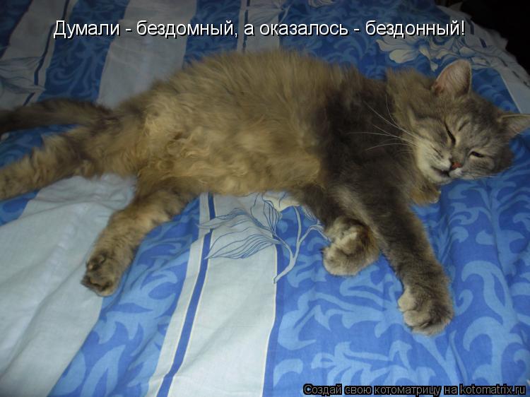 Думали - бездомный, а оказалось - бездонный!... Котоматрица: Думали - бездомный, а оказалось - бездонный!