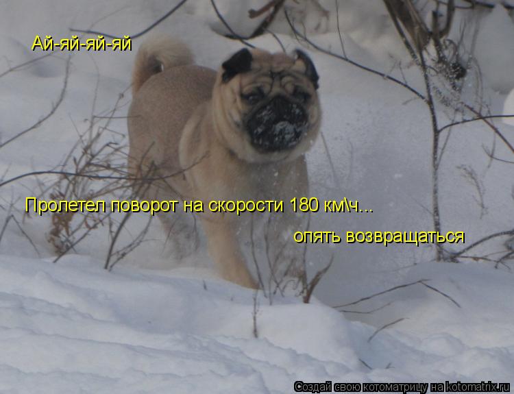 Ай-яй-яй-яй Пролетел поворот на скорости 180 км\ч... опять возвращаться... Котоматрица: Ай-яй-яй-яй Пролетел поворот на скорости 180 км\ч... опять возвращаться