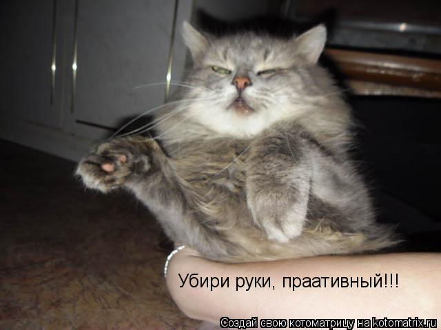 Убири руки, праативный!!!... Котоматрица: Убири руки, праативный!!!