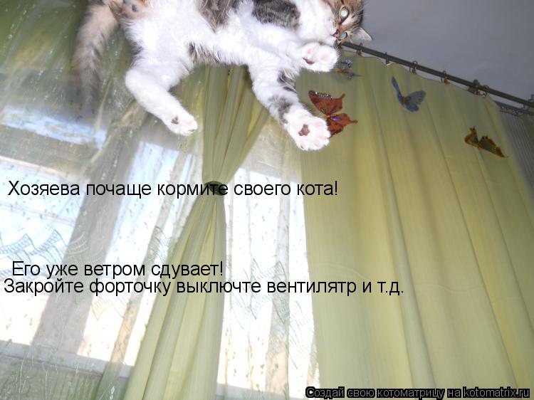 Хозяева почаще кормите своего кота! Его уже ветром сдувает! Закройте форточку выключте вентилятр и т.... Котоматрица: Хозяева почаще кормите своего кота! Его уже ветром сдувает! Закройте форточку выключте вентилятр и т.д. Закройте форточку выключте вентиля