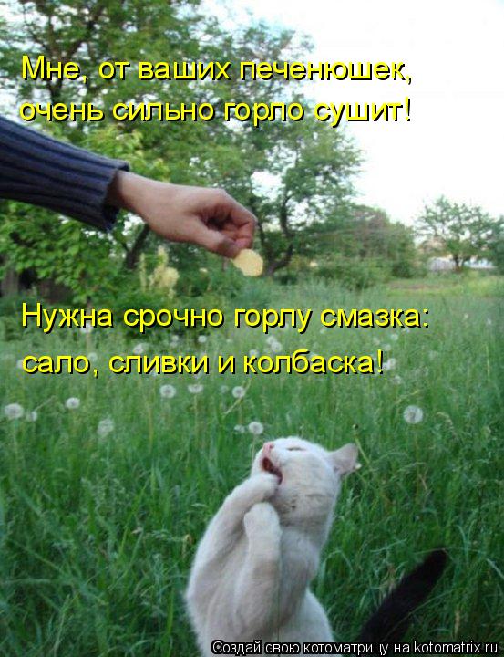 Мне, от ваших печенюшек, очень сильно горло сушит! Нужна срочно горлу смазка: сало, сливки и колба... Котоматрица: Мне, от ваших печенюшек, очень сильно горло сушит! Нужна срочно горлу смазка: сало, сливки и колбаска!