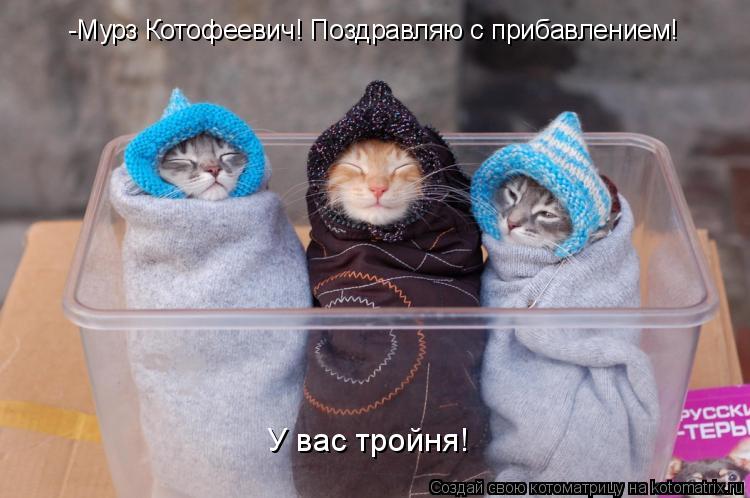 -Мурз Котофеевич! Поздравляю с прибавлением! У вас тройня!... Котоматрица: -Мурз Котофеевич! Поздравляю с прибавлением! У вас тройня!