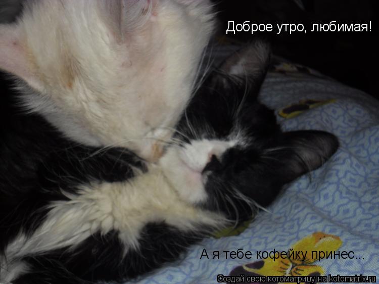 Доброе утро, любимая! А я тебе кофейку принес...... Котоматрица: Доброе утро, любимая! А я тебе кофейку принес...