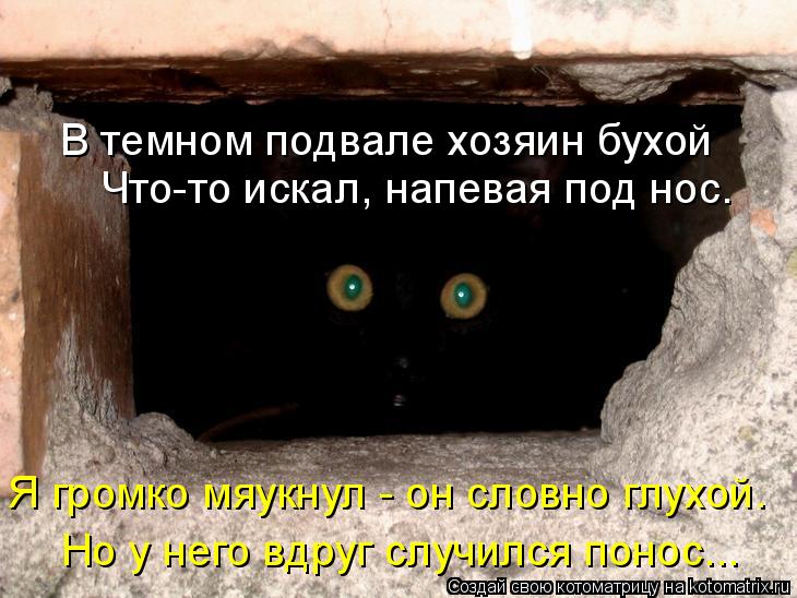 В темном подвале хозяин бухой Что-то искал, напевая под нос. Я громко мяукнул - он словно глухой. Н... Котоматрица: В темном подвале хозяин бухой Что-то искал, напевая под нос. Я громко мяукнул - он словно глухой. Но у него вдруг случился понос...