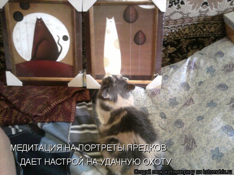 МЕДИТАЦИЯ НА ПОРТРЕТЫ ПРЕДКОВ ДАЕТ НАСТРОЙ НА УДАЧНУЮ ОХОТУ... Котоматрица: МЕДИТАЦИЯ НА ПОРТРЕТЫ ПРЕДКОВ ДАЕТ НАСТРОЙ НА УДАЧНУЮ ОХОТУ