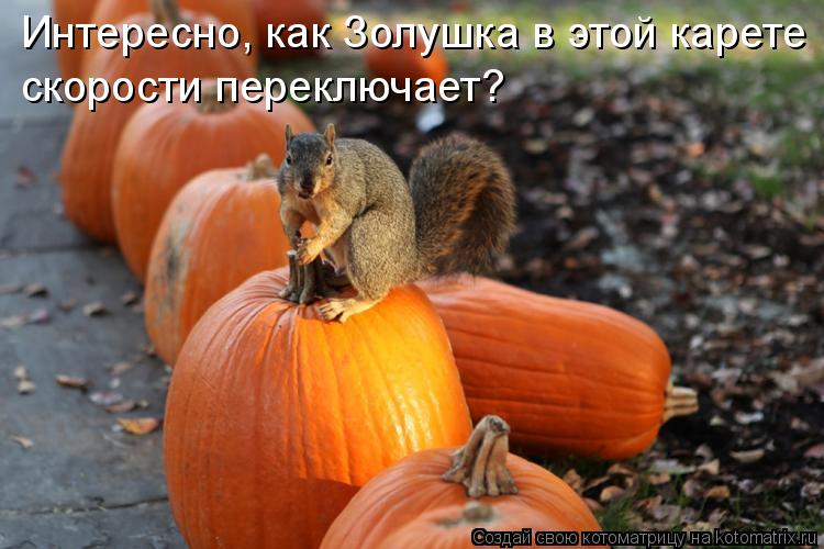 Интересно, как Золушка в этой карете скорости переключает?... Котоматрица: Интересно, как Золушка в этой карете скорости переключает?