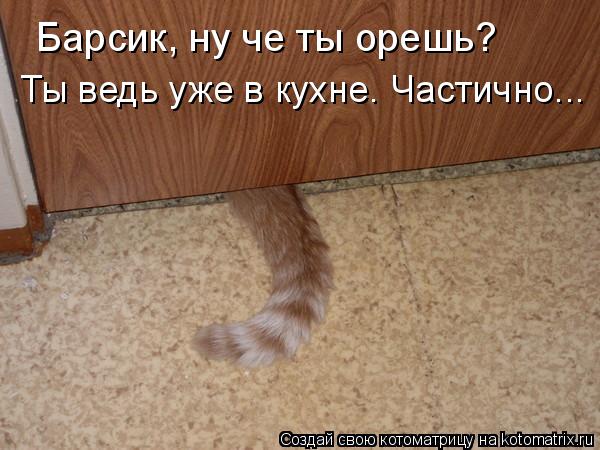 Барсик, ну че ты орешь? Ты ведь уже в кухне. Частично...... Котоматрица: Барсик, ну че ты орешь? Ты ведь уже в кухне. Частично...