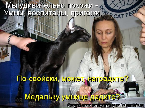 Мы удивительно похожи - Умны, воспитаны, пригожи. По-свойски, может, наградите? Медальку умнице дад... Котоматрица: Мы удивительно похожи - Умны, воспитаны, пригожи. По-свойски, может, наградите? Медальку умнице дадите?