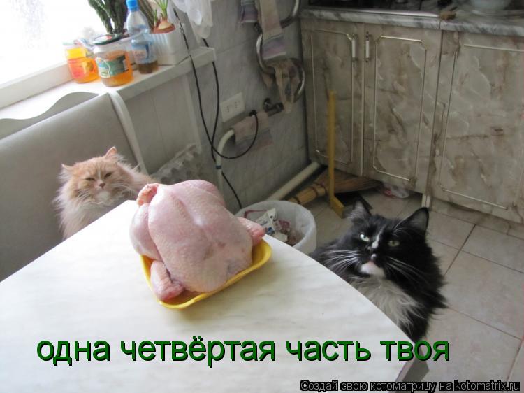 одна четвёртая часть твоя... Котоматрица: одна четвёртая часть твоя