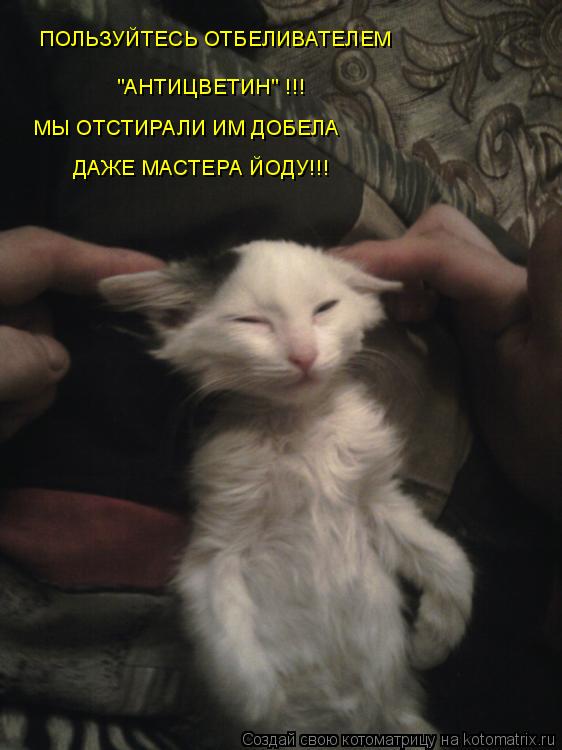ПОЛЬЗУЙТЕСЬ ОТБЕЛИВАТЕЛЕМ "АНТИЦВЕТИН" !!! МЫ ОТСТИРАЛИ ИМ ДОБЕЛА ДАЖЕ МАСТЕРА ЙОДУ!!!... Котоматрица: ПОЛЬЗУЙТЕСЬ ОТБЕЛИВАТЕЛЕМ "АНТИЦВЕТИН" !!! МЫ ОТСТИРАЛИ ИМ ДОБЕЛА ДАЖЕ МАСТЕРА ЙОДУ!!!