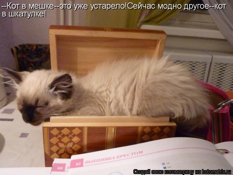 --Кот в мешке--это уже устарело!Сейчас модно другое--кот в шкатулке!... Котоматрица: --Кот в мешке--это уже устарело!Сейчас модно другое--кот в шкатулке!