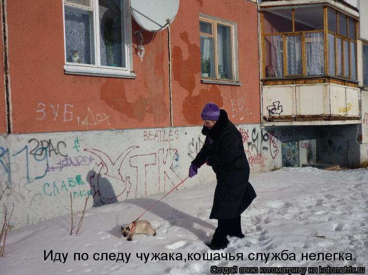 Иду по следу чужака,кошачья служба нелегка.... Котоматрица: Иду по следу чужака,кошачья служба нелегка.