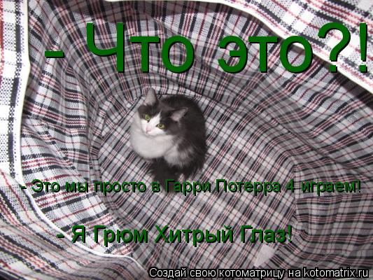 Котоматрица: - Что это?!  - Это мы просто в Гарри Потерра 4 играем!  - Я Грюм Хитрый Глаз!