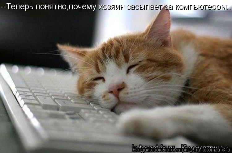Котоматрица: --Теперь понятно,почему хозяин засыпает за компьютером...