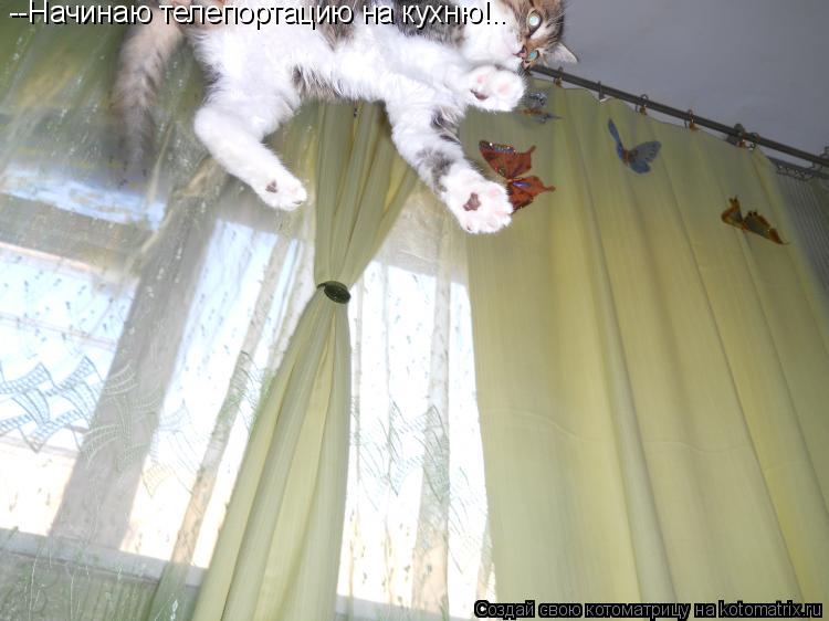 Котоматрица: --Начинаю телепортацию на кухню!..