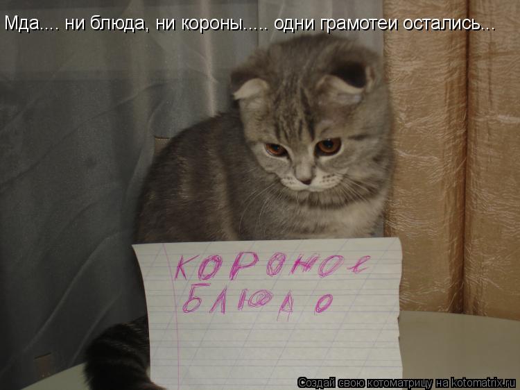 Мда.... ни блюда, ни короны..... одни грамотеи остались...... Котоматрица: Мда.... ни блюда, ни короны..... одни грамотеи остались...