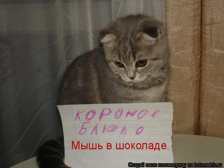 Котоматрица: Мышь в шоколаде.
