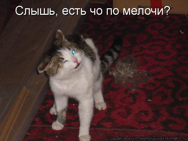 Котоматрица: Слышь, есть чо по мелочи?