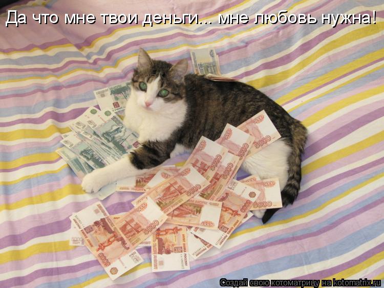 Да что мне твои деньги... мне любовь нужна!... Котоматрица: Да что мне твои деньги... мне любовь нужна!
