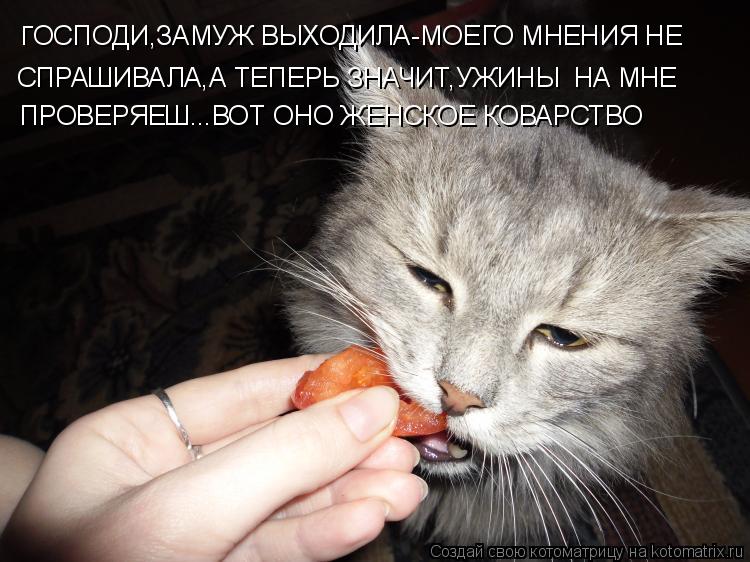 Г ОСПОДИ,ЗАМУЖ ВЫХОДИЛА-МОЕГО МНЕНИЯ НЕ СПРАШИВАЛА,А ТЕПЕРЬ ЗНАЧИТ,УЖИНЫ НА МНЕ ПРОВЕРЯЕШ...ВОТ ОНО ... Котоматрица: Г ОСПОДИ,ЗАМУЖ ВЫХОДИЛА-МОЕГО МНЕНИЯ НЕ СПРАШИВАЛА,А ТЕПЕРЬ ЗНАЧИТ,УЖИНЫ НА МНЕ ПРОВЕРЯЕШ...ВОТ ОНО ЖЕНСКОЕ КОВАРСТВО