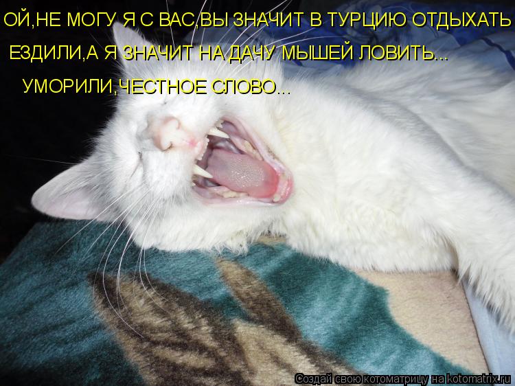 ОЙ,НЕ МОГУ Я С ВАС,ВЫ ЗНАЧИТ В ТУРЦИЮ ОТДЫХАТЬ ЕЗДИЛИ,А Я ЗНАЧИТ НА ДАЧУ МЫШЕЙ ЛОВИТЬ... УМОРИЛИ,ЧЕСТ... Котоматрица: ОЙ,НЕ МОГУ Я С ВАС,ВЫ ЗНАЧИТ В ТУРЦИЮ ОТДЫХАТЬ ЕЗДИЛИ,А Я ЗНАЧИТ НА ДАЧУ МЫШЕЙ ЛОВИТЬ... УМОРИЛИ,ЧЕСТНОЕ СЛОВО...