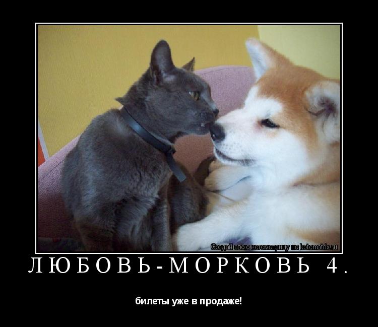 Любовь-морковь 4. билеты уже в продаже!... Котоматрица: Любовь-морковь 4. билеты уже в продаже!