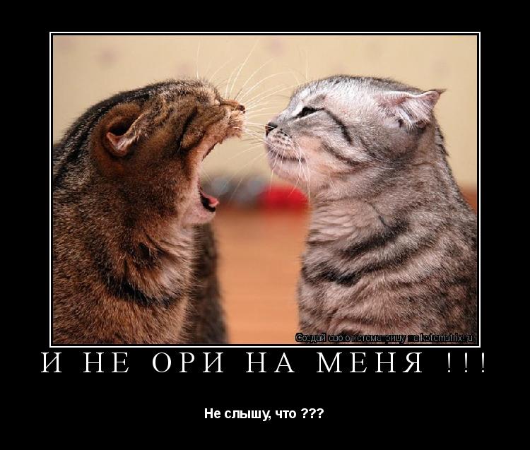 И НЕ ОРИ НА МЕНЯ !!! Не слышу, что ???... Котоматрица: И НЕ ОРИ НА МЕНЯ !!! Не слышу, что ???