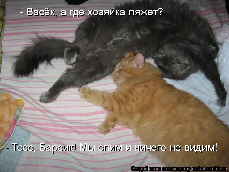 - Васёк, а где хозяйка ляжет? - Тссс, Барсик! Мы спим и ничего не видим!... Котоматрица: - Васёк, а где хозяйка ляжет? - Тссс, Барсик! Мы спим и ничего не видим!