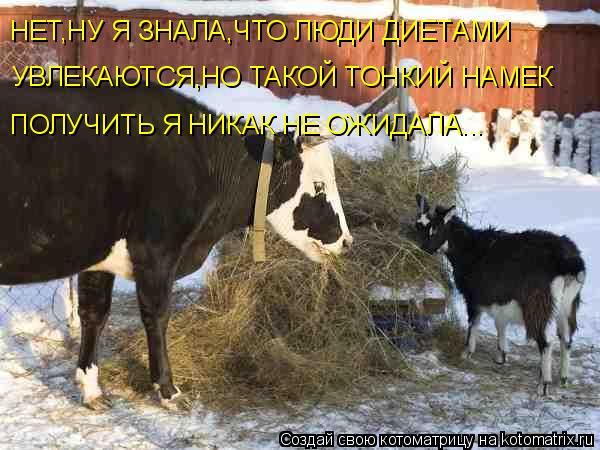 НЕТ,НУ Я ЗНАЛА,ЧТО ЛЮДИ ДИЕТАМИ УВЛЕКАЮТСЯ,НО ТАКОЙ ТОНКИЙ НАМЕК ПОЛУЧИТЬ Я НИКАК НЕ ОЖИДАЛА...... Котоматрица: НЕТ,НУ Я ЗНАЛА,ЧТО ЛЮДИ ДИЕТАМИ УВЛЕКАЮТСЯ,НО ТАКОЙ ТОНКИЙ НАМЕК ПОЛУЧИТЬ Я НИКАК НЕ ОЖИДАЛА...