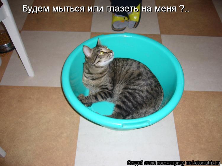 Будем мыться или глазеть на меня ?..... Котоматрица: Будем мыться или глазеть на меня ?..