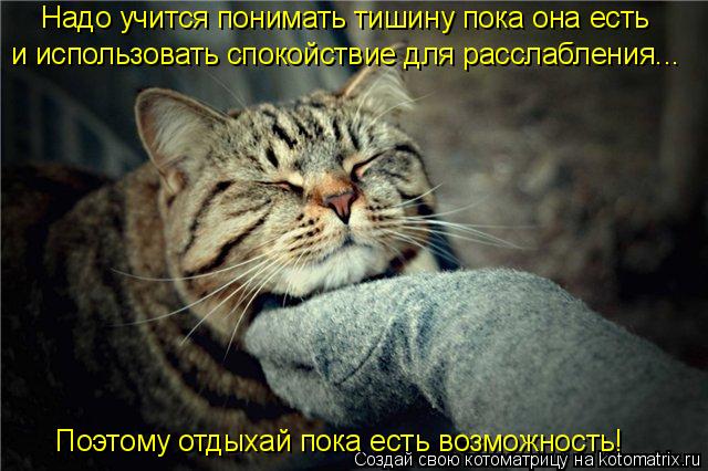 Надо учится понимать тишину пока она есть и использовать спокойствие для расслабления... Поэтому отды... Котоматрица: Надо учится понимать тишину пока она есть и использовать спокойствие для расслабления... Поэтому отдыхай пока есть возможность!