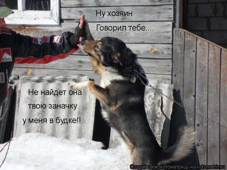 Говорил тебе.... Не найдет она твою заначку у меня в будке!! Ну хозяин... Котоматрица: Говорил тебе.... Не найдет она твою заначку у меня в будке!! Ну хозяин