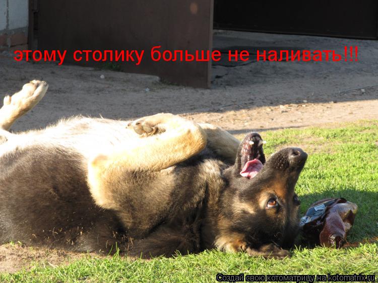 этому столику больше не наливать!!!... Котоматрица: этому столику больше не наливать!!!